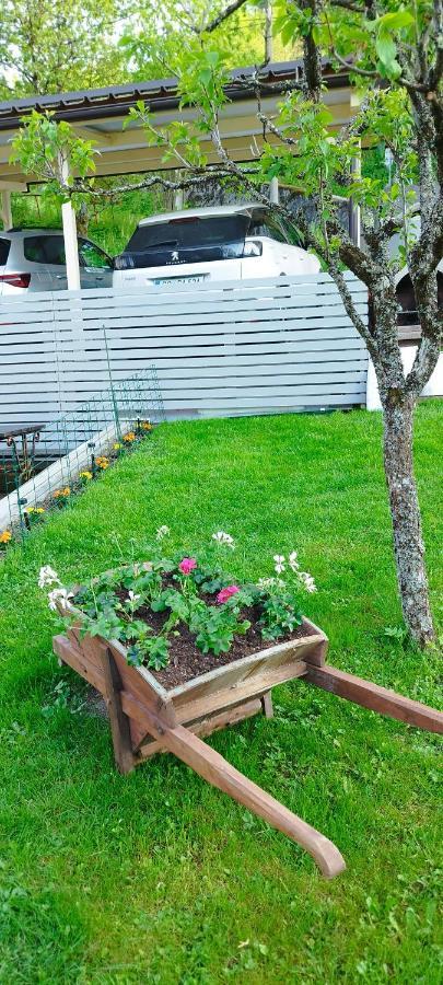 Apartma B & O Idrija Buitenkant foto
